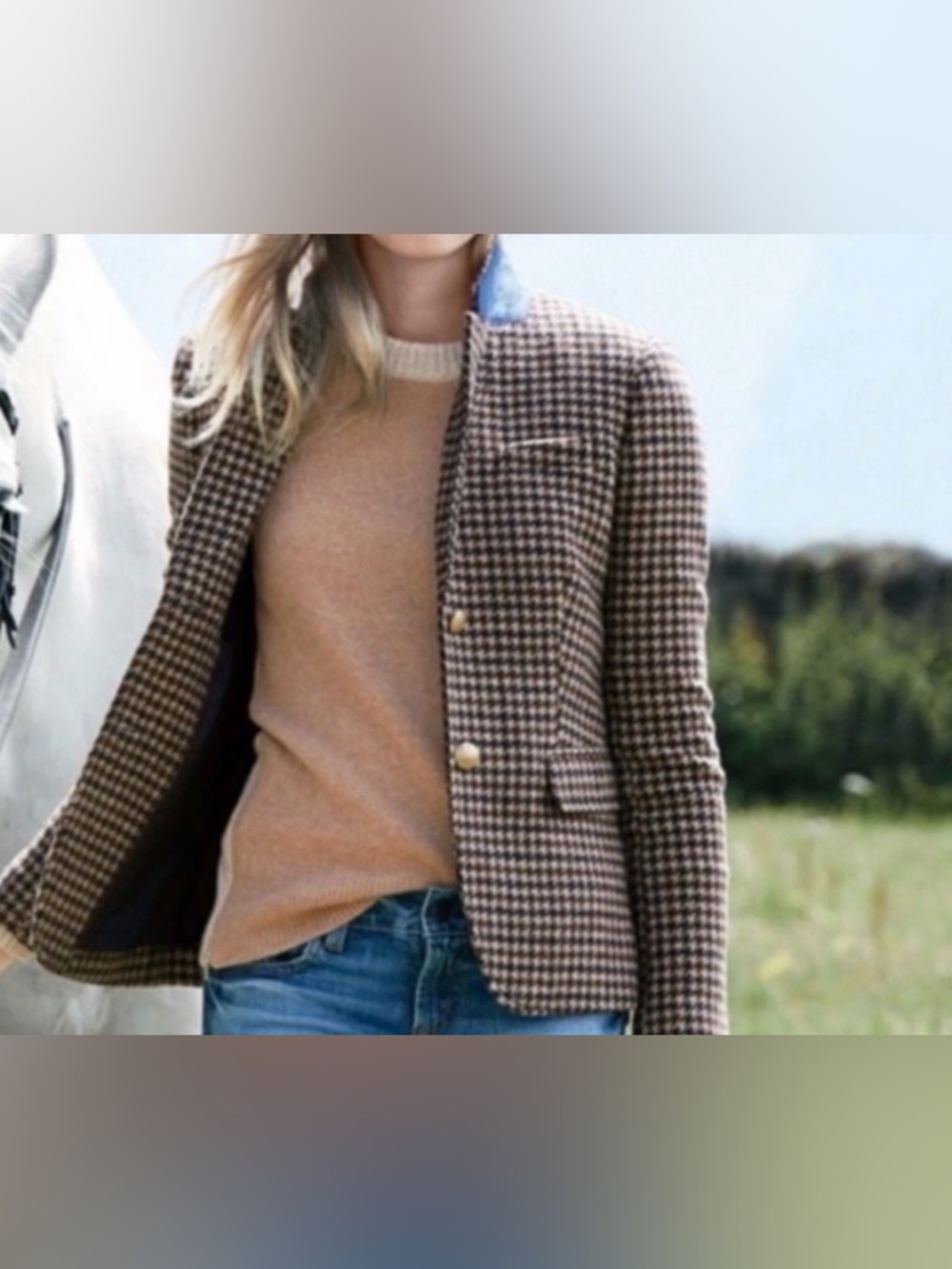 J. Crew Women's Brown Houndstooth Blazer